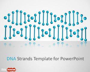 DNA Strands PowerPoint Template DNA Strands PowerPoint Template