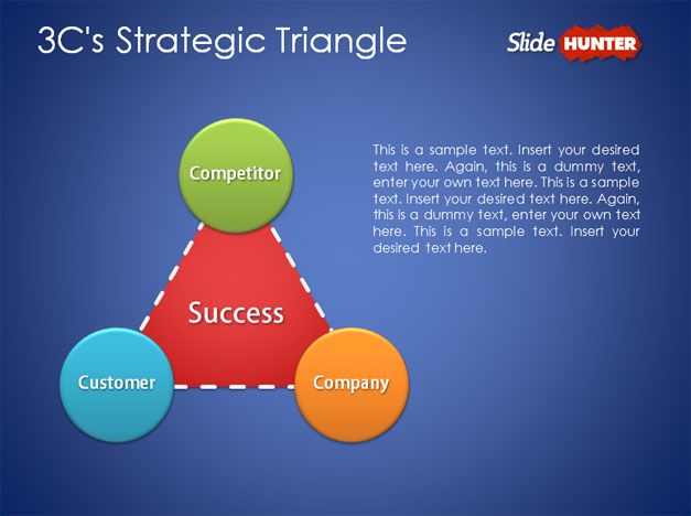 project triangle strategy director